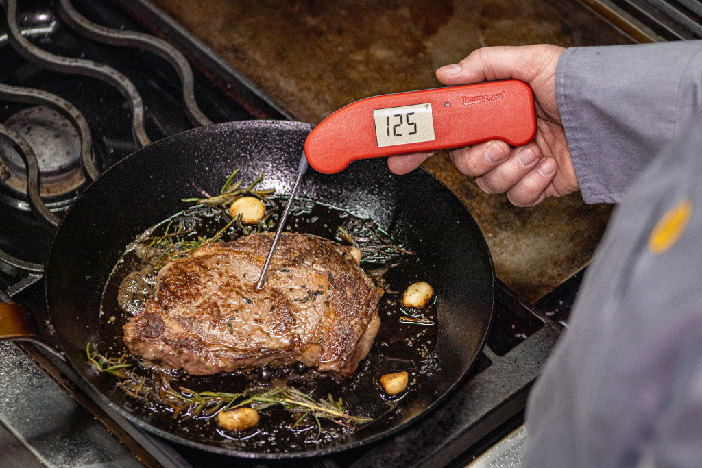 Thermoworks Thermapen One Review — Basically, You Won't Find Better!